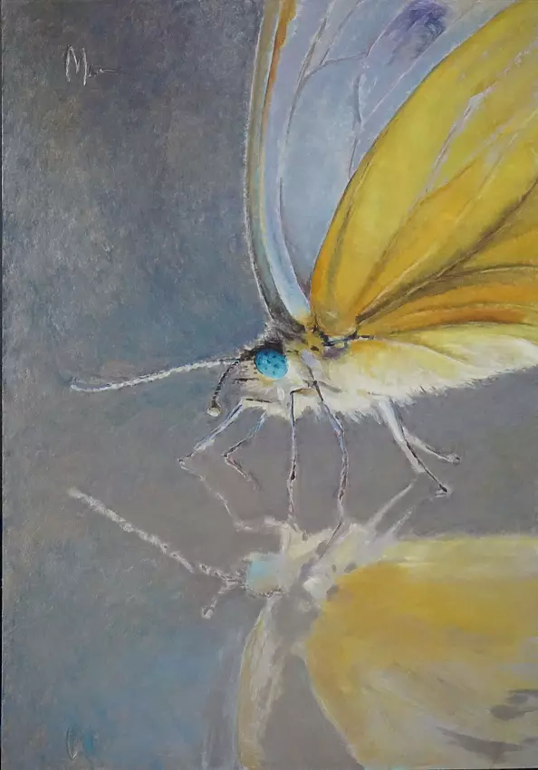 Małgorzata Mazur - butterfly