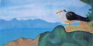 Padovani Nicolas - mouette de Lérins