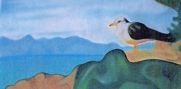 Padovani Nicolas - mouette de Lérins