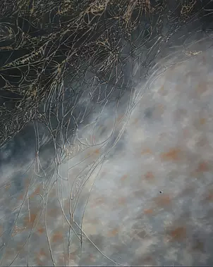 Marcin Pokrywka - mucha