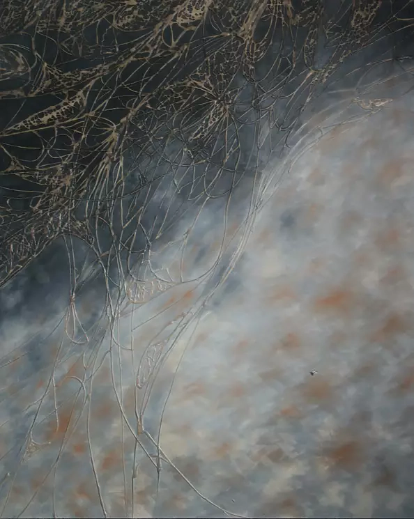 Marcin Pokrywka - mucha