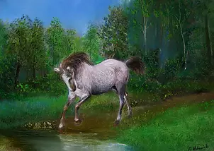 Alicja Urbaniak - mustang