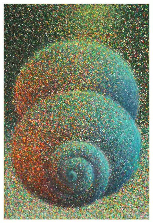 Marek Chomczyk - Seashell