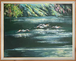 Ilona Kowalik - over Amazanka