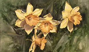 Małgorzata Sadowska Majewska - Narcyze