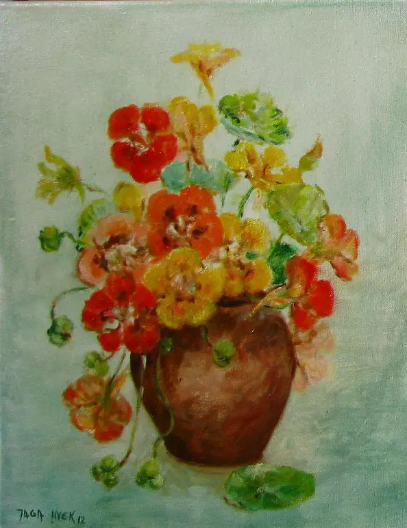 Jadwiga Marcinek - nasturcje 