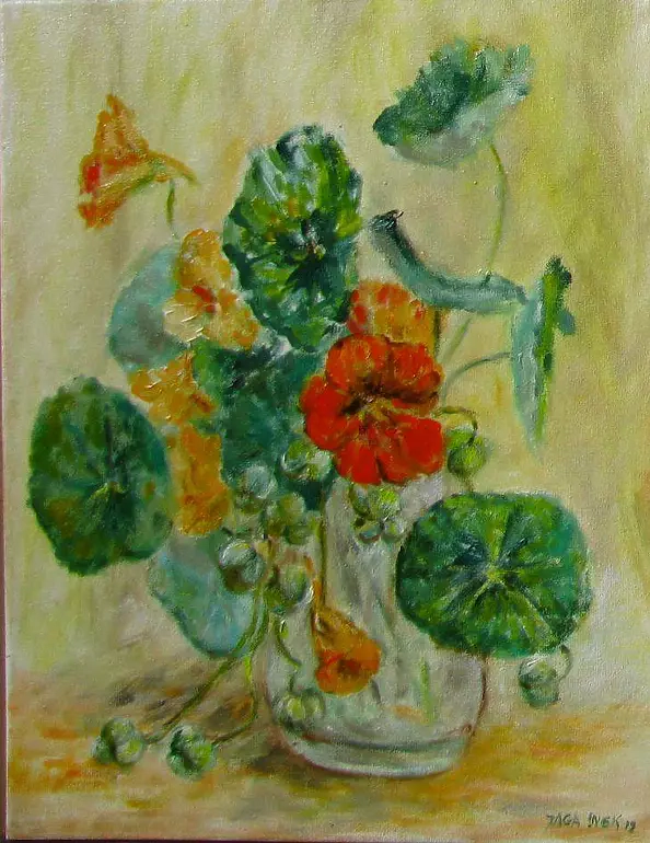 Jadwiga Marcinek - nasturcje z nasionami