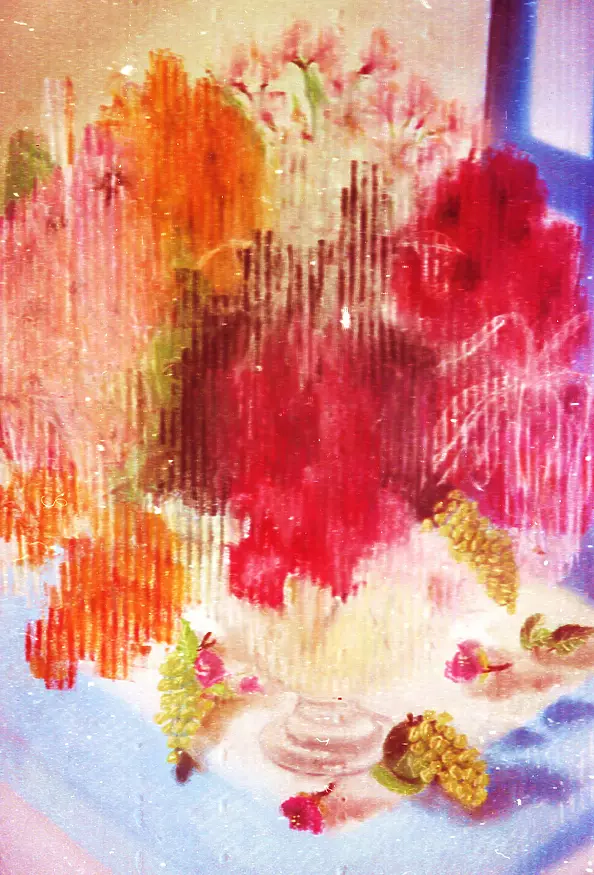 Padovani Nicolas - + que nature morte