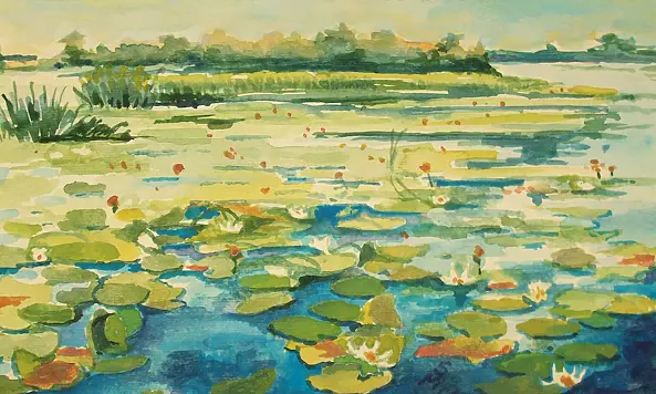 Marek Sabat - Nenufary w/g H. Weyssenhoffa