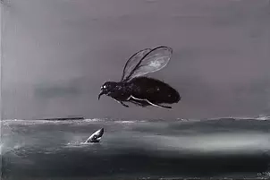 Andrzej Cybura - abnormal fly