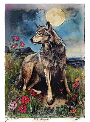 Jena Polak - night dreamer