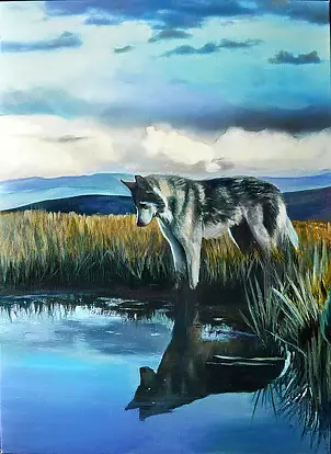 Jena Polak - reflection