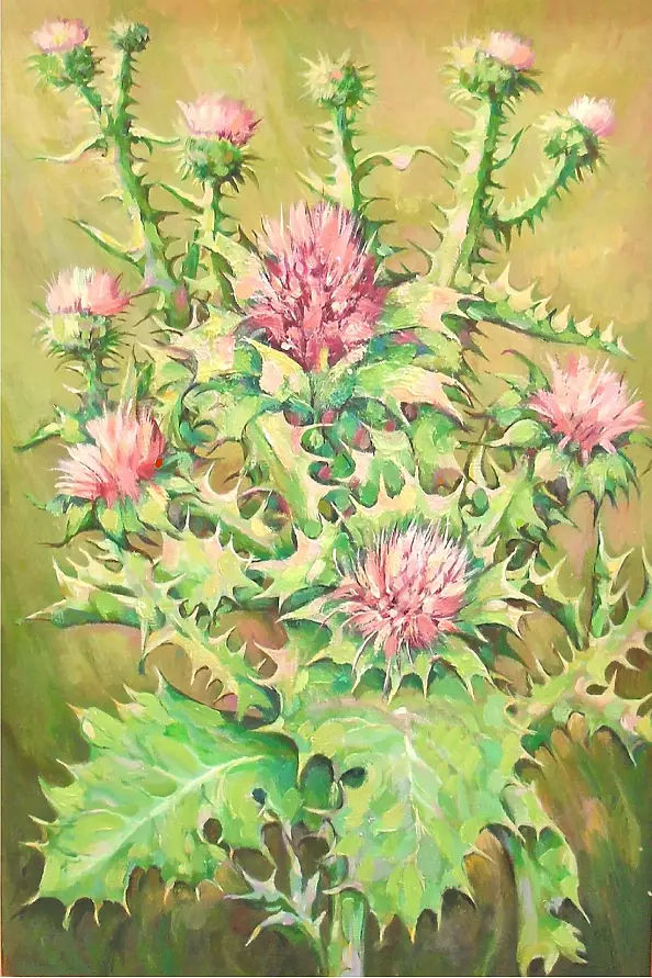 Maciej, Bogusław Kaczmarczyk - osty