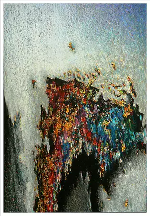 Marek Chomczyk - wasps