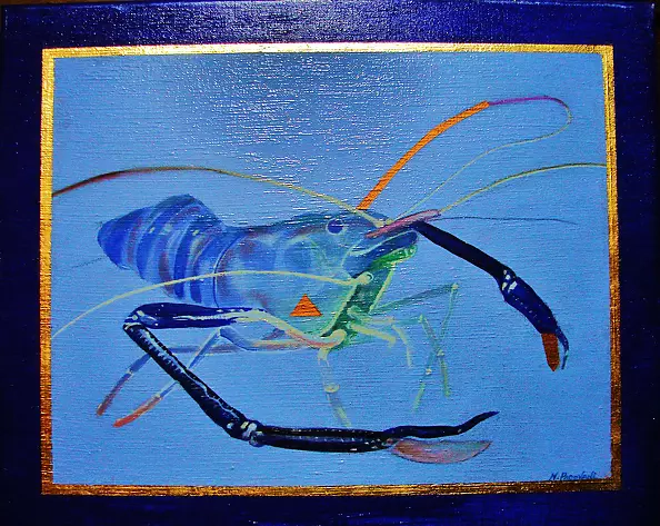 Padovani Nicolas - ouassou blé