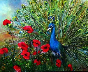 Alicja Urbaniak - peacock and poppies
