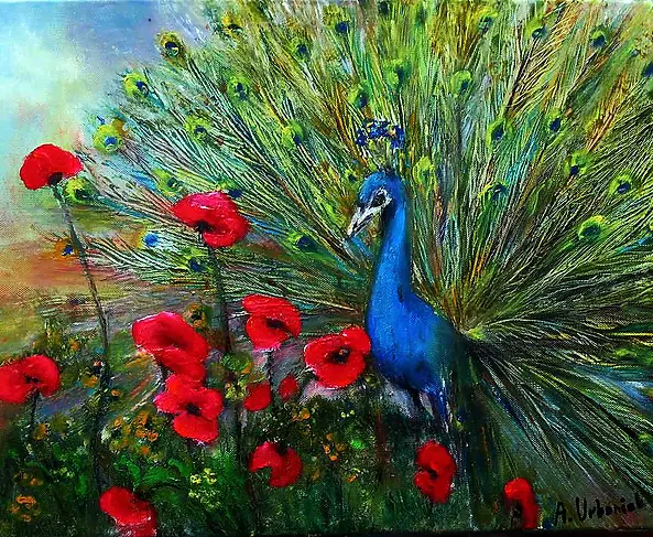 Alicja Urbaniak - peacock and poppies