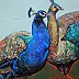 Anita Kuchta Kurasińska - peacocks II