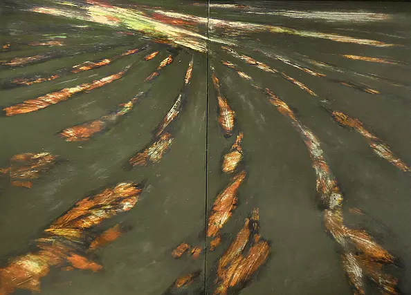 Krzysztof Kacprzak - pejzaż pola-obraz2