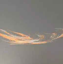 TE PHIMIDA - phoenixa