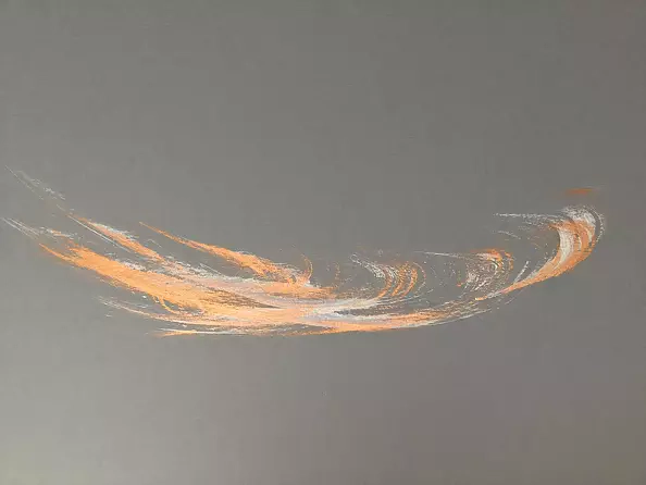 TE PHIMIDA - phoenixa