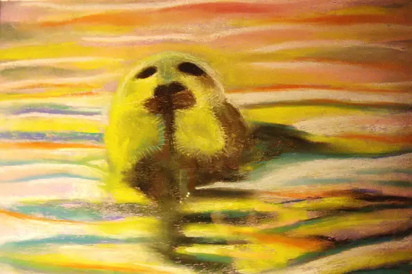 Padovani Nicolas - phoque u