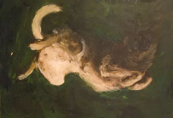 Magdalena Bartocha - dog