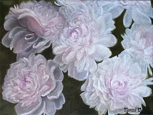 Marta Wideńska - piwonie