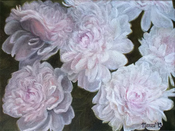 Marta Wideńska - piwonie