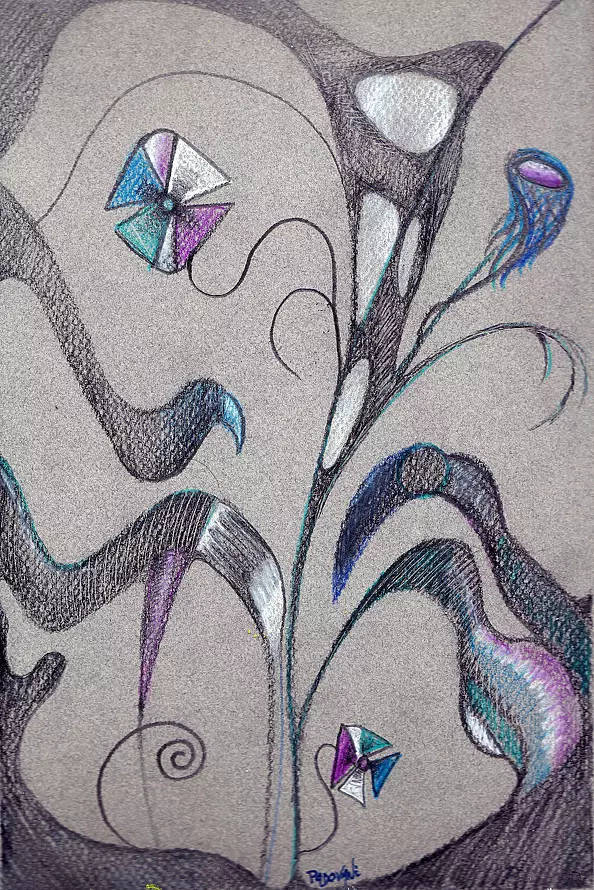 Padovani Nicolas - plants exotiques