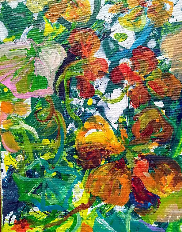 Anna Borcz - climbing nasturtiums