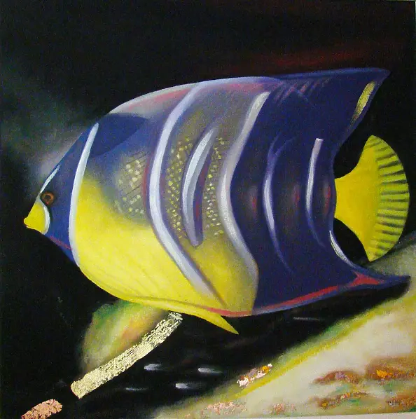 Padovani Nicolas - poisson ange