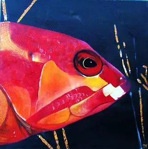 Padovani Nicolas - poisson rouge