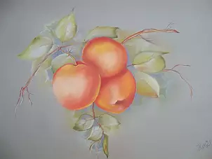 ilona jankowska wojtek - temptation