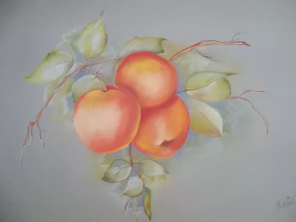 ilona jankowska wojtek - pokusa