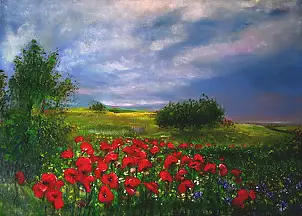 Alicja Urbaniak - Mohnfeld