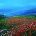 Alicja Urbaniak - poppy field