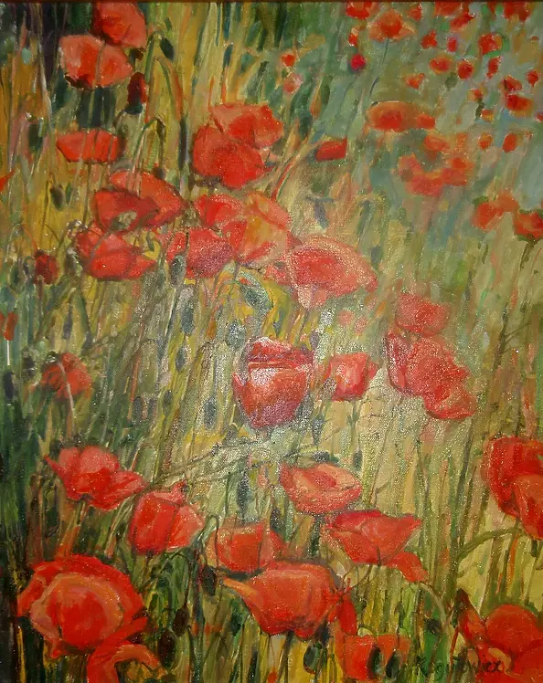 Katarzyna Kogutowicz - maki