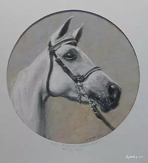 Zbigniew Bień - horse portrait