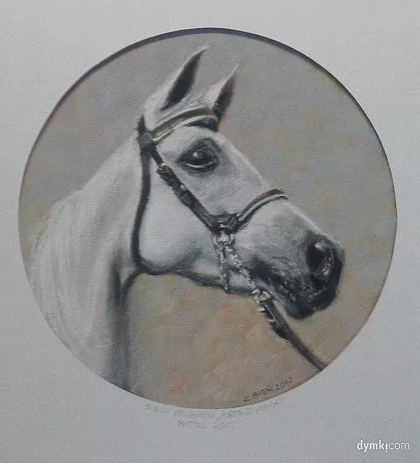 Zbigniew Bień - horse portrait