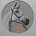 Zbigniew Bień - horse portrait