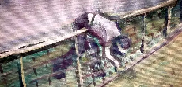 Piotr Smogór - back from school