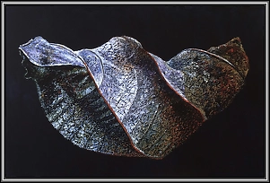 Marek Chomczyk - transience