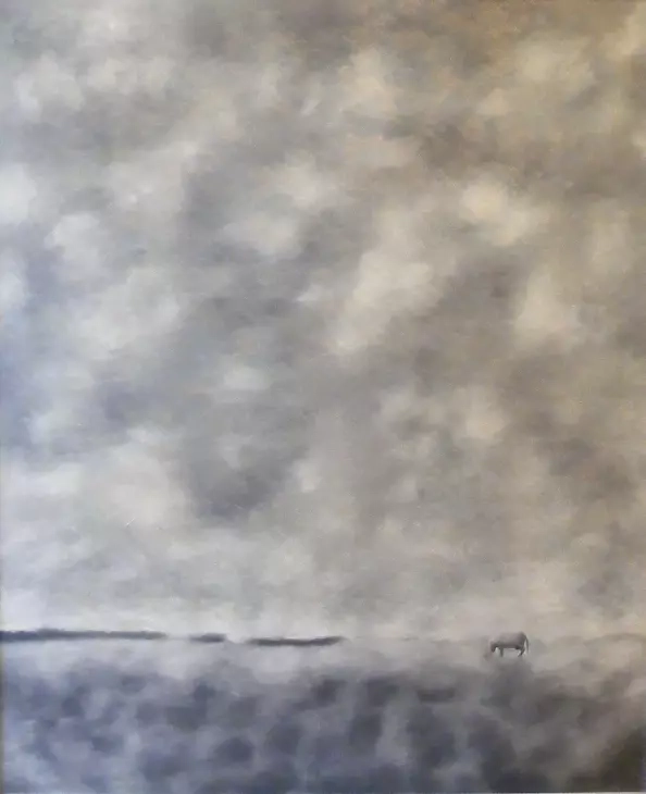 Marcin Pokrywka - space Mites