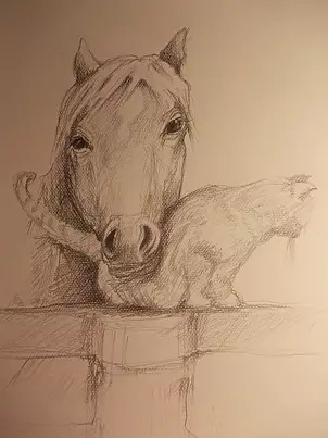 Adriana Laube - Friends