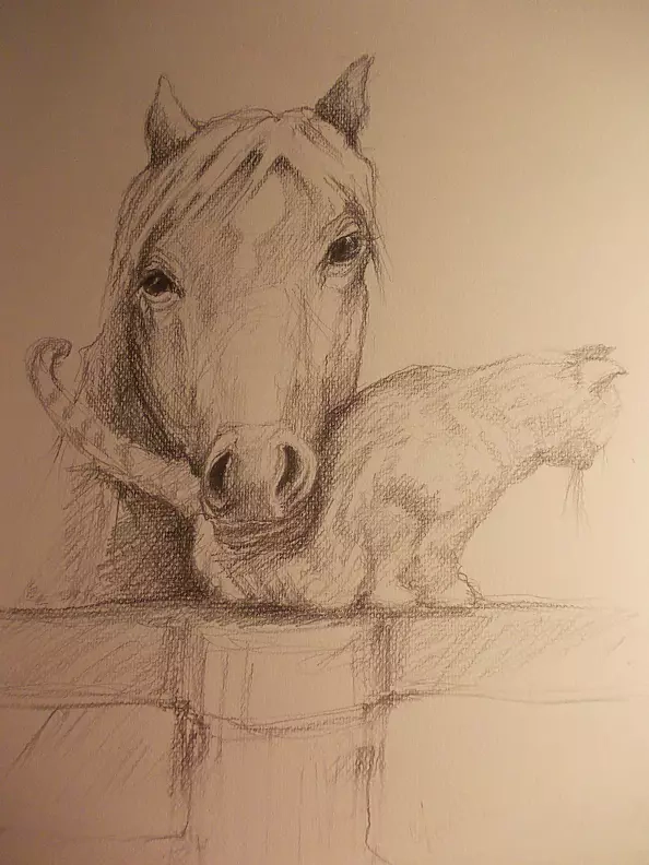 Adriana Laube - przyjaciele