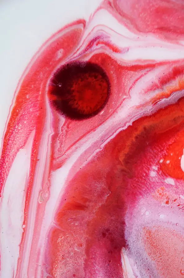 Beata Van Wijngaarden - fiery bird