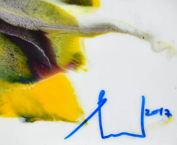 Beata Van Wijngaarden - fiery bird