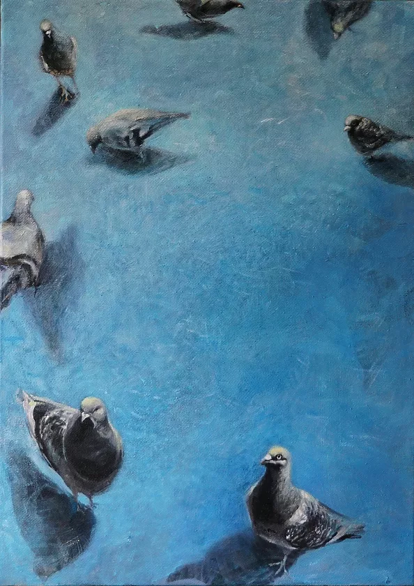 Iza Jaśniewska - birds