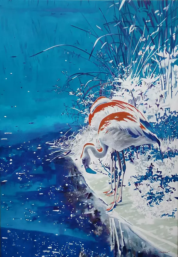 Katarzyna Misiórska - birds